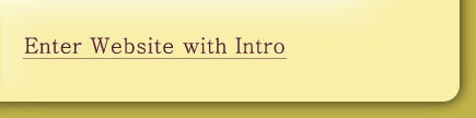 Enter Website after Intro